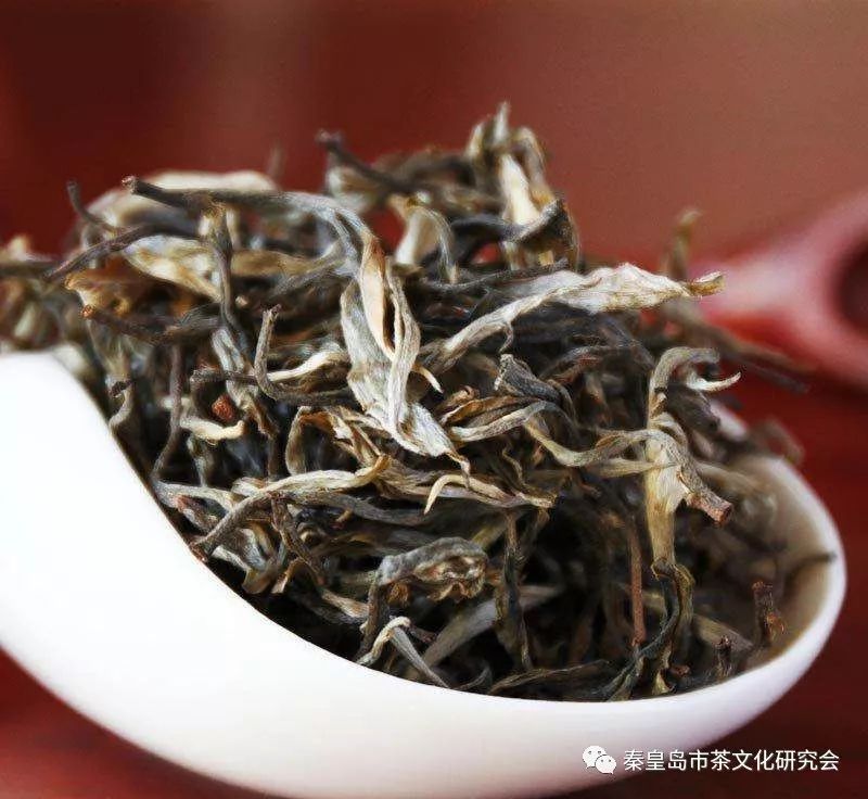 云南原生态普洱茶：坝歪古树茶香的独特魅力