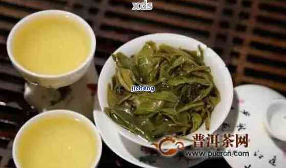 明晨古树普洱茶：品质、制作工艺与品饮技巧的全面解析