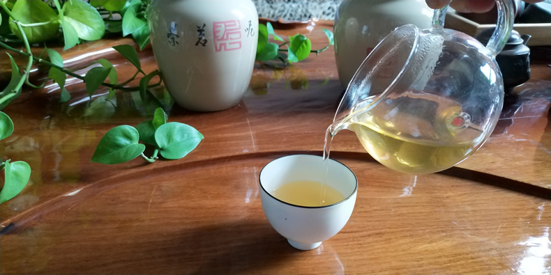 一年的普洱茶能喝吗？女生可以喝吗？新茶和陈茶的区别是什么？