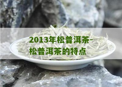 茶叶普洱茶普松