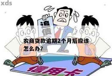 农商银行逾期贷款恢复攻略：逾期后还能再次申请吗？