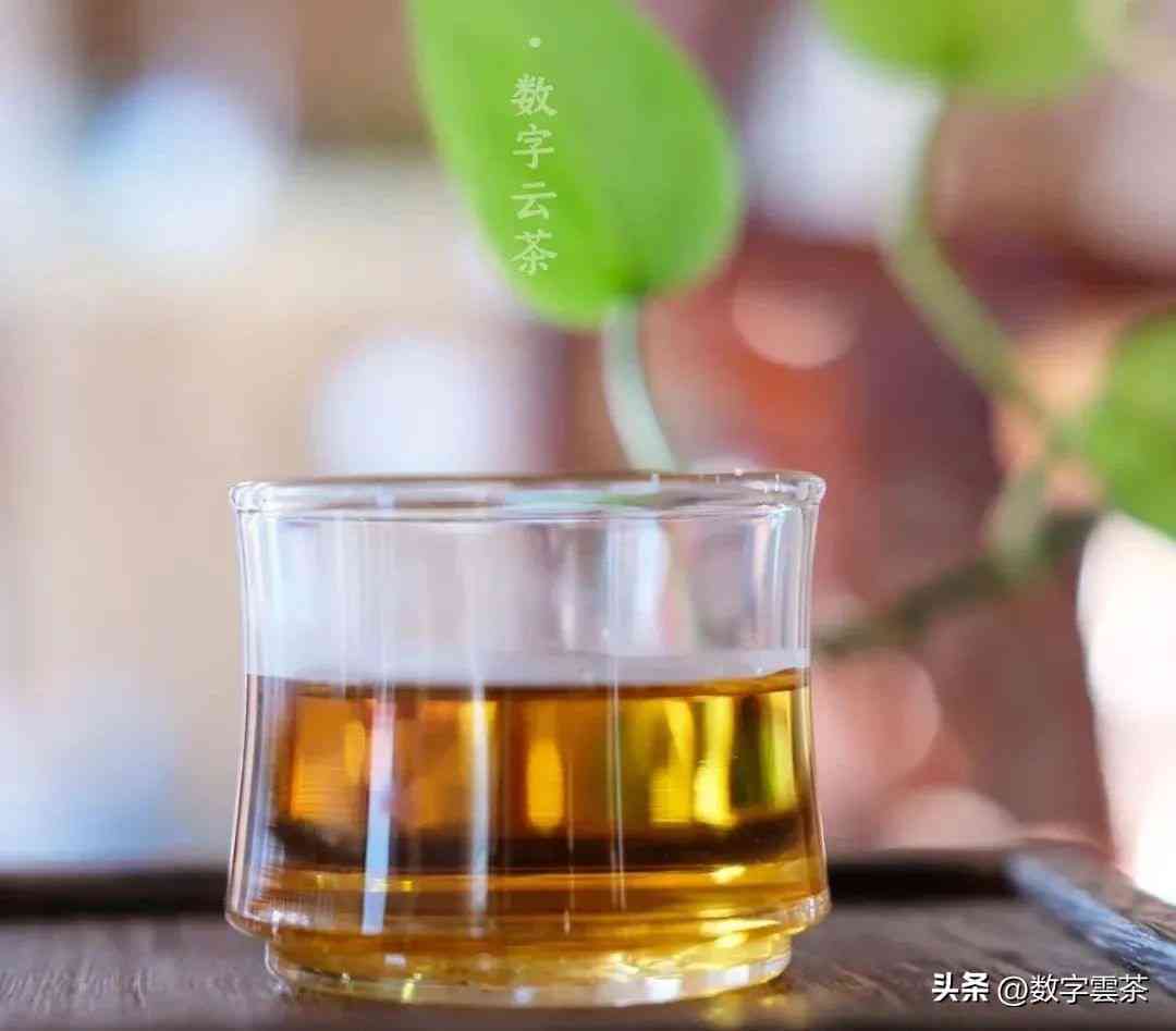 普洱茶冲泡比例：合适数量与方法的探讨