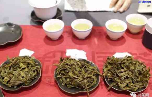 东兴茶：品质优良的中国茶叶之选，品味历与文化的完美结合