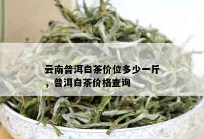 普洱茶白茶功效与作用及禁忌：了解这种茶的功效、作用及饮用注意事项