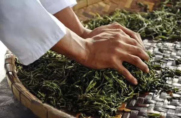 传统工艺精心打造的小老头茶叶：一款承载岁月味道的珍贵佳品