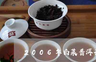 朗河白菜普洱茶价格表