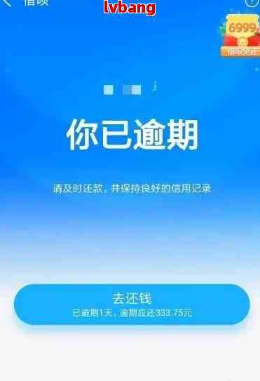 如何查看借呗逾期页面的详细信息