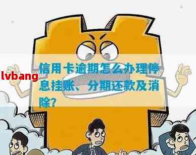 信用卡停息分期还完后需要做什么手续：完整解答与注意事项