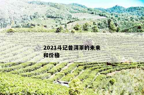 2021斗记普洱茶未来如何-斗记普洱茶产品