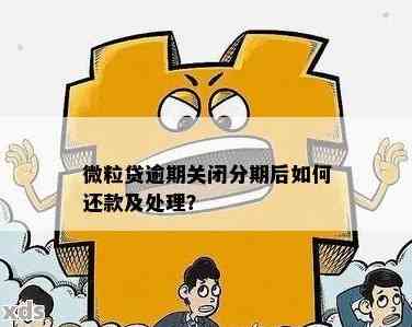 微粒贷借款后的还款期限是多久？何时开始偿还贷款？