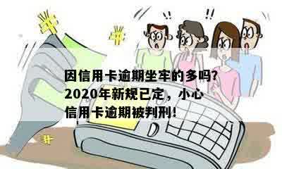 有多少信用卡要逾期的？2020信用卡逾期现象严重，导致很多人坐牢！