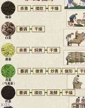 四凤配方普洱茶：一种独特的茶叶制作工艺及其文化内涵探究