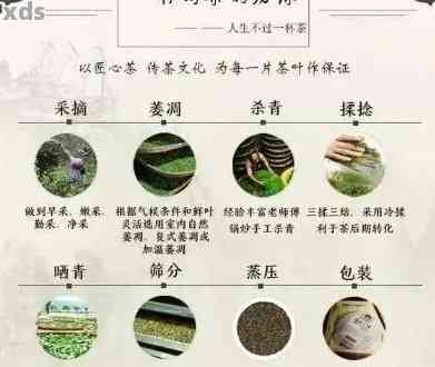 四凤配方普洱茶：一种独特的茶叶制作工艺及其文化内涵探究