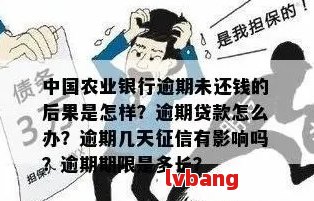 农行信用卡逾期问题解答：如何规划还款、影响与解决办法一文详解