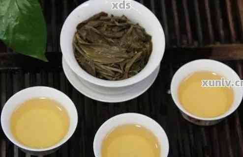 新 泰普洱茶品鉴全书：全面解析各类茶叶特性与口感