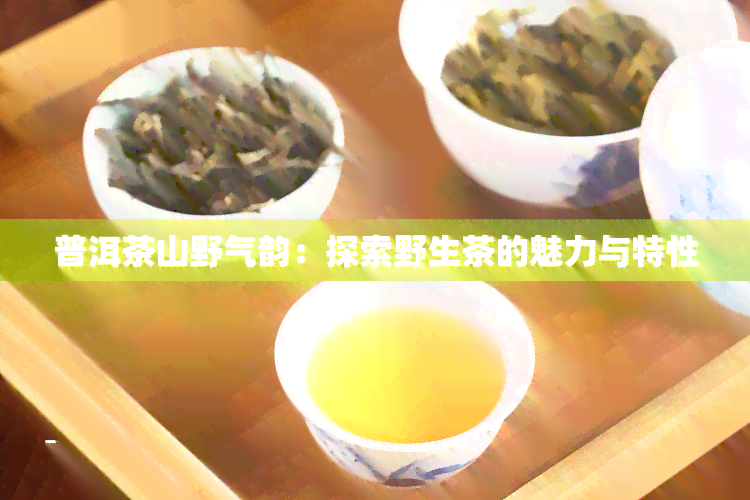 高山野放普洱茶好不好？尝试这种独特的茶饮体验！