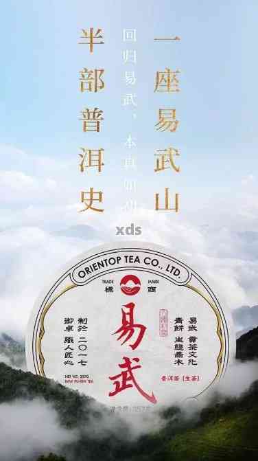 重庆易武：探索普洱茶的诞生之地与文化魅力