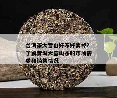 大雪山普洱茶的价格及购买渠道全面解析，让你轻松选购最合适的普洱茶