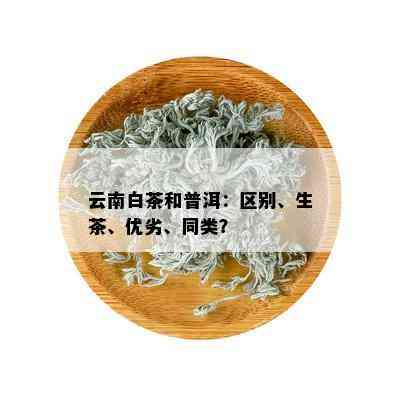 普洱茶：云南对比与特点，探究生茶及为何受汞之的影响