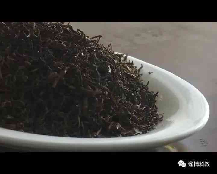 寻找子塘普洱茶的原产地：一个不可错过的地方！