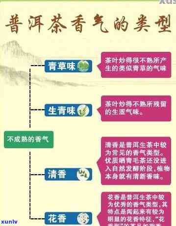 普洱茶的味道特点及其科学解释：探究普洱茶的香气、滋味和口感背后的奥秘