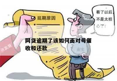 网贷逾期：如何诚实面对母避免责骂？