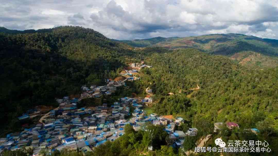 重庆布朗山普洱茶的产地及其魅力：探寻中国茶叶的重要基地