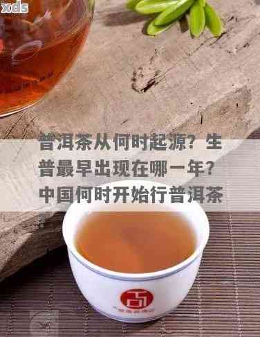 普洱茶的历：从何时开始存在？