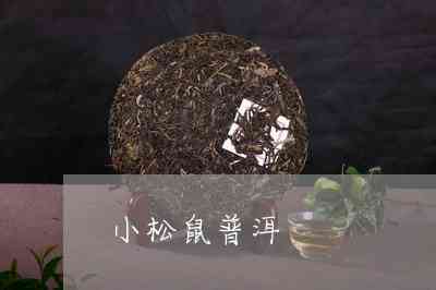 小松鼠叫普洱茶吗