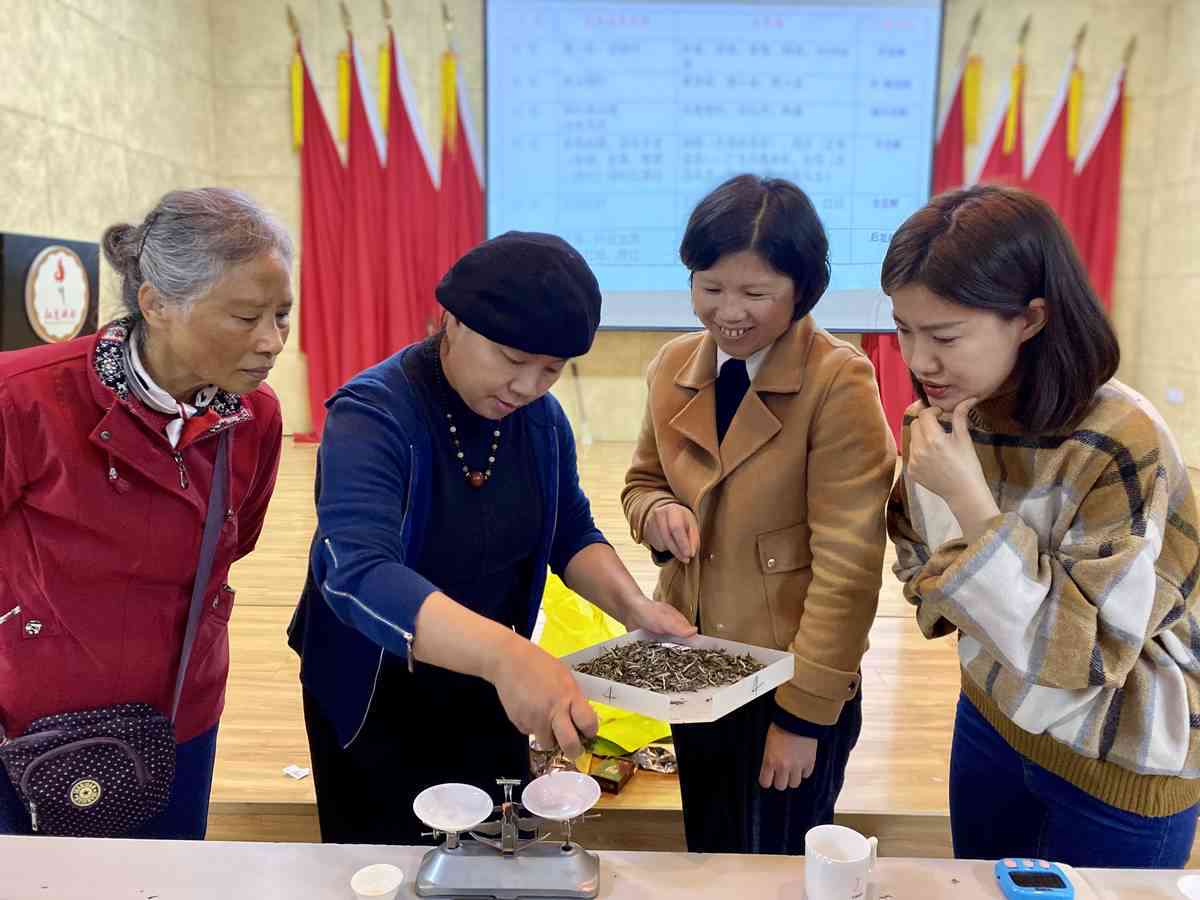 普洱茶饼：乌龙茶的异类还是独特的茶艺魅力？为什么它在茶叶世界独树一帜？