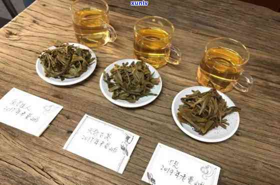 南京传统普洱茶：老曼峨的新篇章