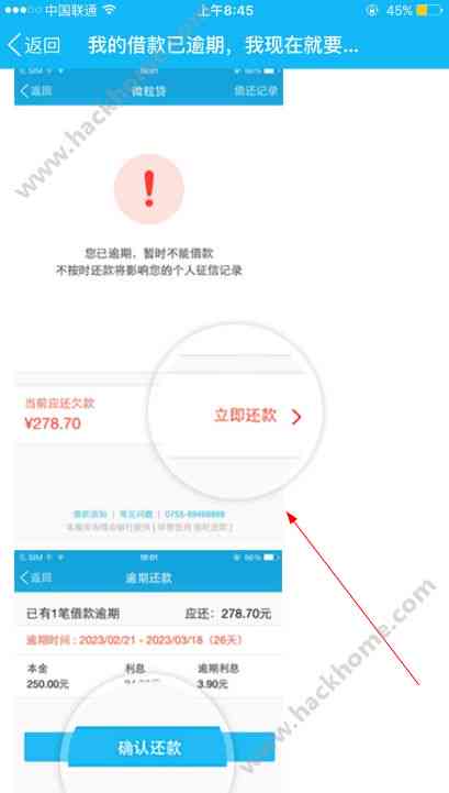 新 无法查询微粒贷还款记录？尝试以下方法解决问题