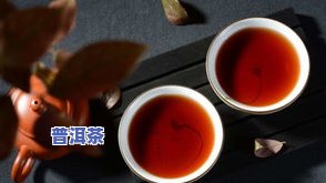 灵芝加普洱茶煮水