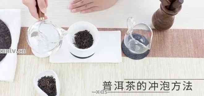 从选茶到冲泡：全方位指南了解小罐茶普洱茶的冲泡技巧与口感调制方法