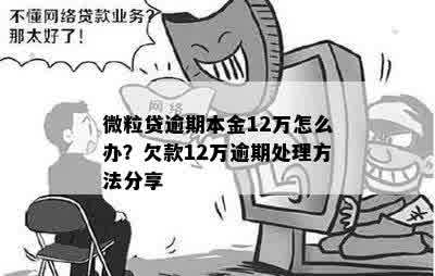 12万怎么还？借款、欠款处理方法全解析