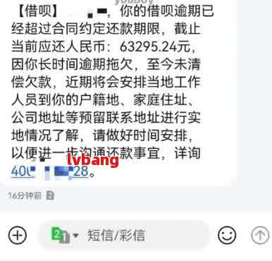 网贷逾期会查到新公司电话吗？真实情况揭秘！