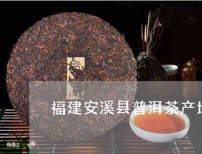 安溪县普洱茶产地