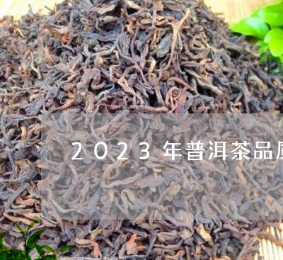 2023年新春岁普洱茶：品味历与文化的经典之选