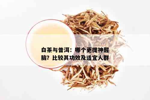 【探究】白龙须普洱茶的神奇功效与作用，让您健生活无忧！