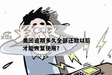 美团逾期半年还款后，信用恢复期内能否再次借款？