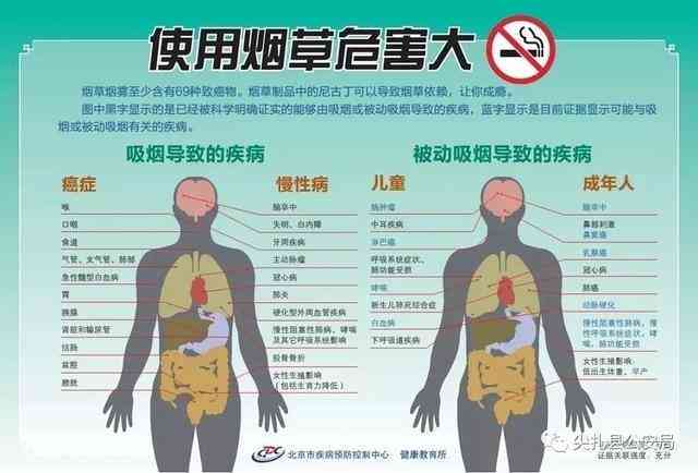 大象薄荷烟：成分、效果、危害与戒烟方法的全面解析