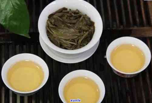 四品茗：普洱茶的四之选及其独特风味探秘