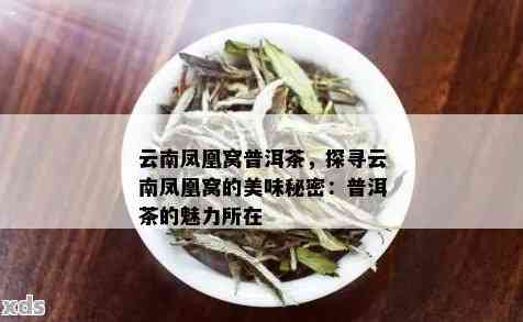 箐门口普洱茶凤凰：品质、口感、功效与泡法全面解析，助您轻松选购和品鉴