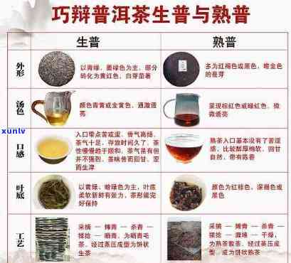 普洱茶的三大茶种全面解析：生茶、熟茶与青茶，让你了解普洱茶的精髓