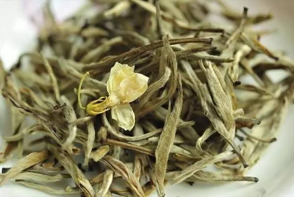 茉莉花茶龙珠是由什么茶树和茶叶制作的，它属于哪种茶叶？