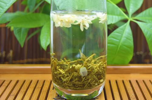 茉莉花茶龙珠是由什么茶树和茶叶制作的，它属于哪种茶叶？