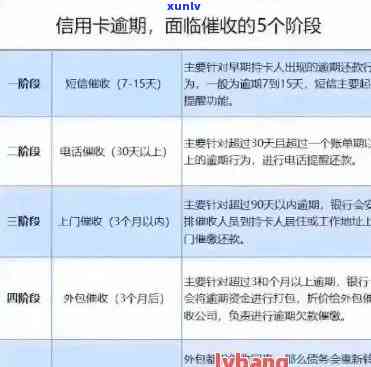 信用卡附属卡逾期怎么办：定义、处理及还款方式