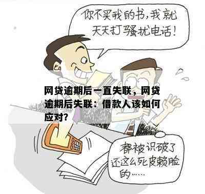 网贷失联了会怎么样：解答您的疑虑与担忧