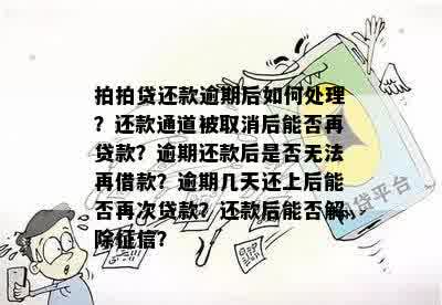 新 逾期的借呗账户被关闭还款通道，法院诉讼成为唯一解决途径