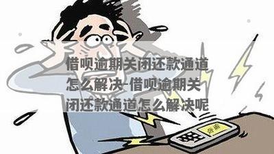 新 逾期的借呗账户被关闭还款通道，法院诉讼成为唯一解决途径